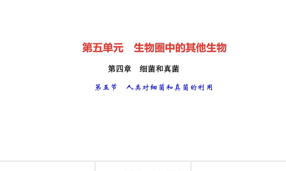 八年级生物上册 第五单元 生物圈中的其他生物 第四章 细菌和真菌第五节 人类对细菌和真菌的利用作业课件 （新版）新人教版-（新版）新人教级上册生物课件