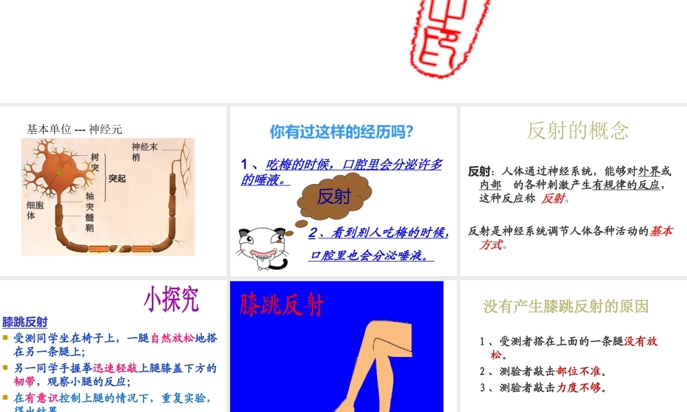 八年级生物上册 第6单元 第16章 第1节 人体的神经调节课件1 （新版）苏科版-（新版）苏科级上册生物课件