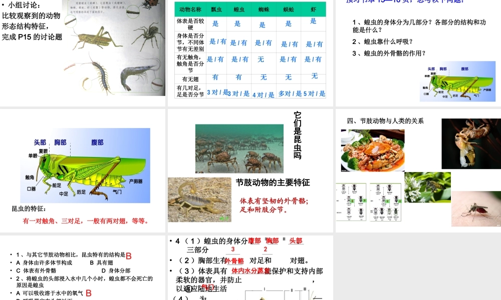 八年级生物上册 第一章 第三节 软体动物和节肢动物课件 新人教版