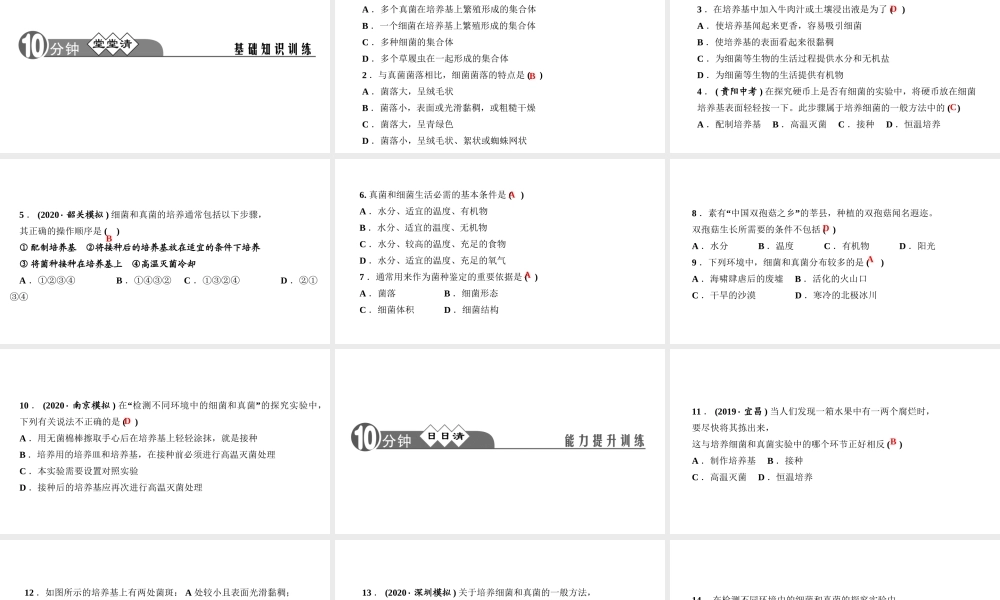八年级生物上册 第五单元 生物圈中的其他生物 第四章 细菌和真菌第一节 细菌和真菌的分布作业课件 （新版）新人教版-（新版）新人教版初中八年级上册生物课件