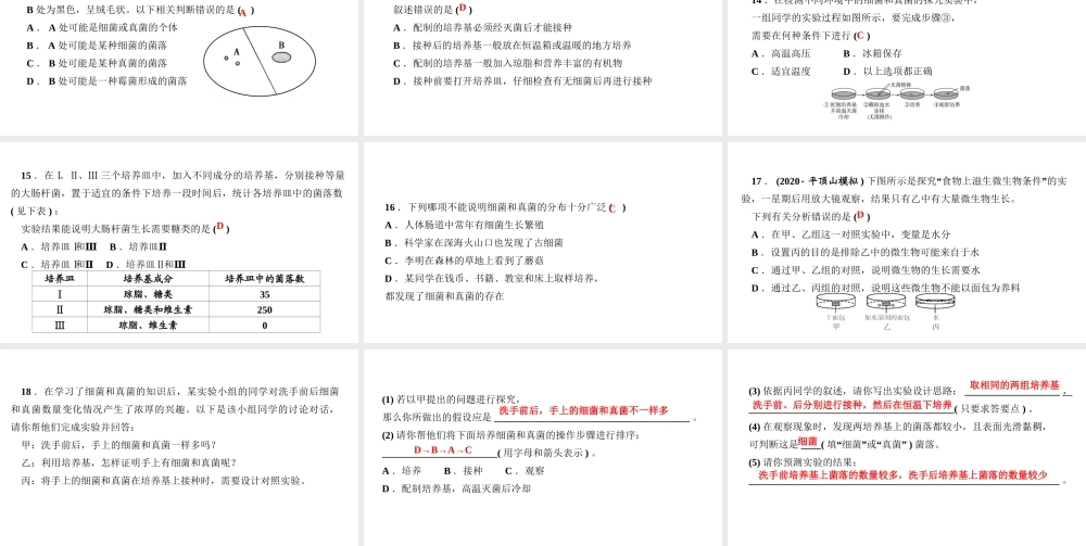八年级生物上册 第五单元 生物圈中的其他生物 第四章 细菌和真菌第一节 细菌和真菌的分布作业课件 （新版）新人教版-（新版）新人教版初中八年级上册生物课件
