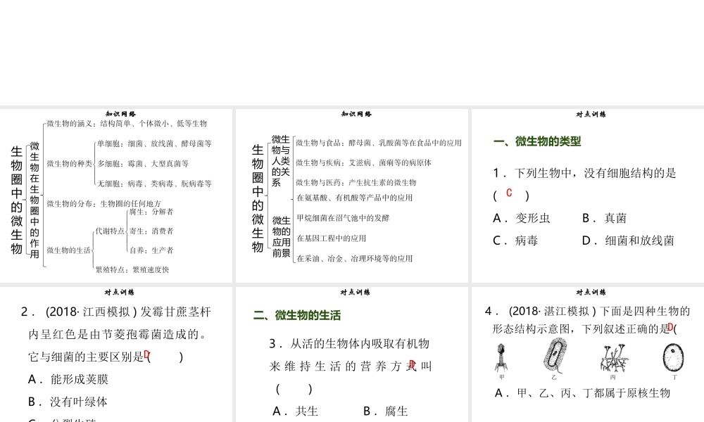 八年级生物上册 第五单元 第18章 生物圈中的微生物章末小结习题课件 （新版）北师大版-（新版）北师大级上册生物课件