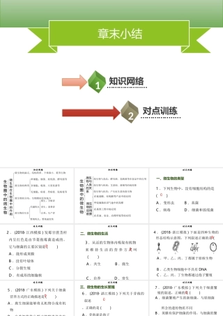 八年级生物上册 第五单元 第18章 生物圈中的微生物章末小结习题课件 （新版）北师大版-（新版）北师大级上册生物课件