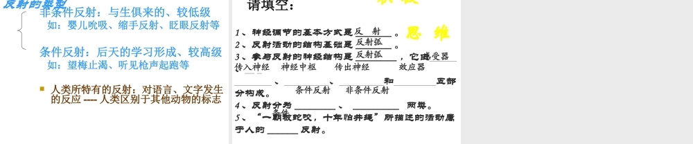 八年级生物上册 第6单元 第16章 第1节 人体的神经调节课件2 （新版）苏科版-（新版）苏科版初中八年级上册生物课件