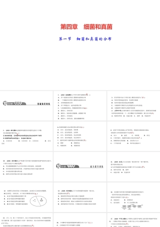 八年级生物上册 第五单元 生物圈中的其他生物 第四章 细菌和真菌第一节 细菌和真菌的分布作业课件 （新版）新人教版-（新版）新人教级上册生物课件