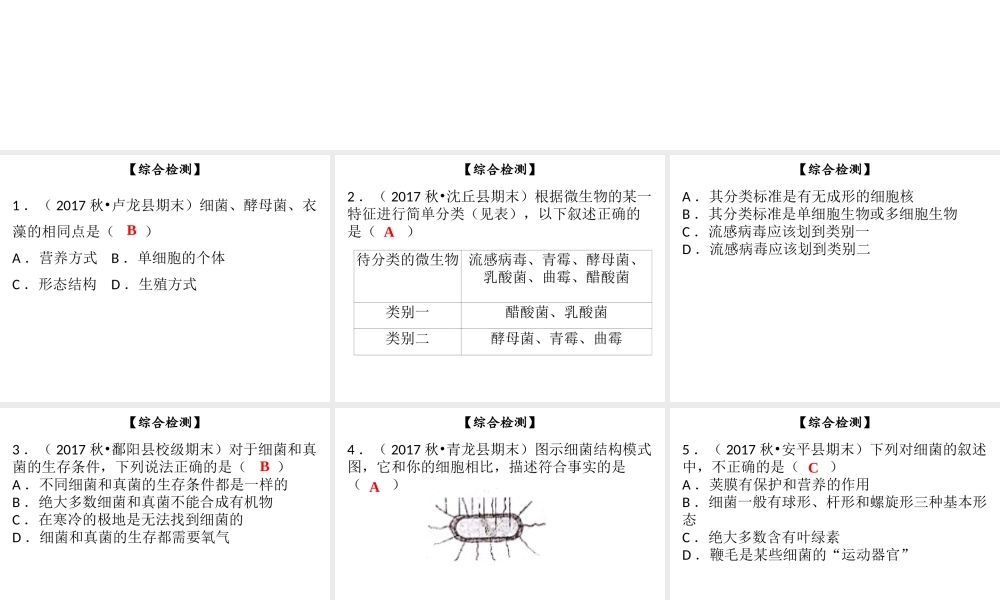 八年级生物上册 第五单元 第18章 生物圈中的微生物综合检测课件 （新版）北师大版-（新版）北师大版初中八年级上册生物课件