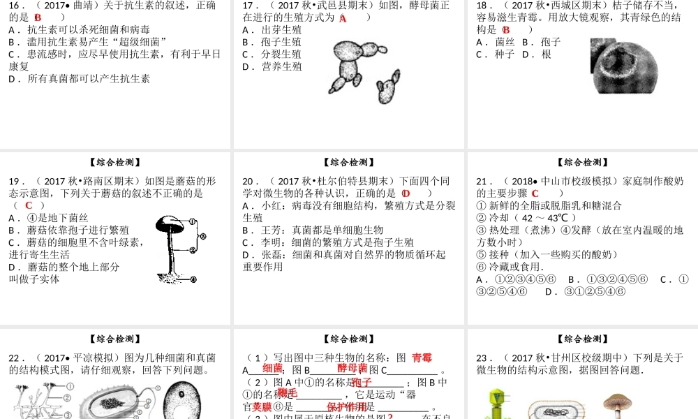八年级生物上册 第五单元 第18章 生物圈中的微生物综合检测课件 （新版）北师大版-（新版）北师大版初中八年级上册生物课件