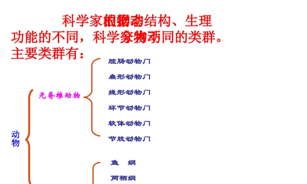 八年级生物上册 第五单元 第一章 第一节 腔肠动物和扁形动物教学课件 （新版）新人教版-（新版）新人教级上册生物课件