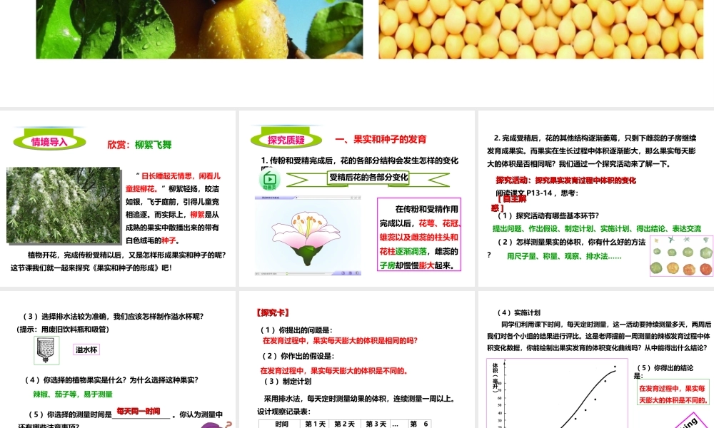 八年级生物上册 第一章 第三节《果实和种子的形成》课件 （新版）济南版-（新版）济南版初中八年级上册生物课件