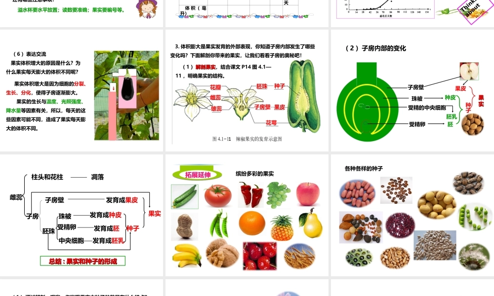 八年级生物上册 第一章 第三节《果实和种子的形成》课件 （新版）济南版-（新版）济南版初中八年级上册生物课件