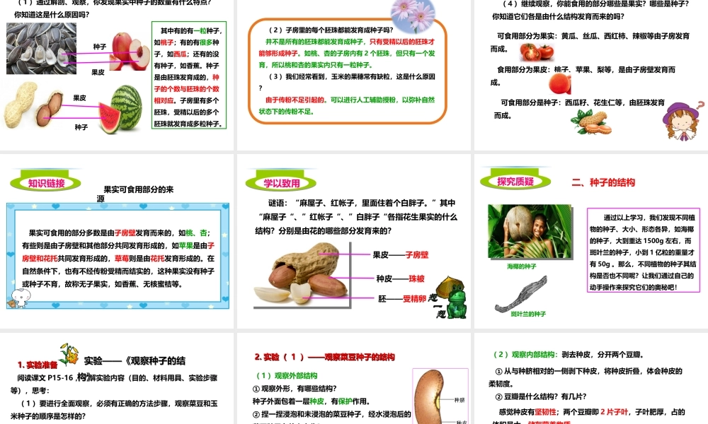八年级生物上册 第一章 第三节《果实和种子的形成》课件 （新版）济南版-（新版）济南版初中八年级上册生物课件