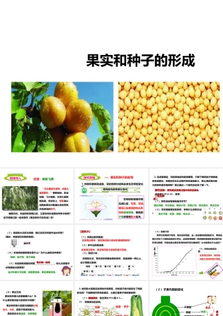 八年级生物上册 第一章 第三节《果实和种子的形成》课件 （新版）济南版-（新版）济南版初中八年级上册生物课件