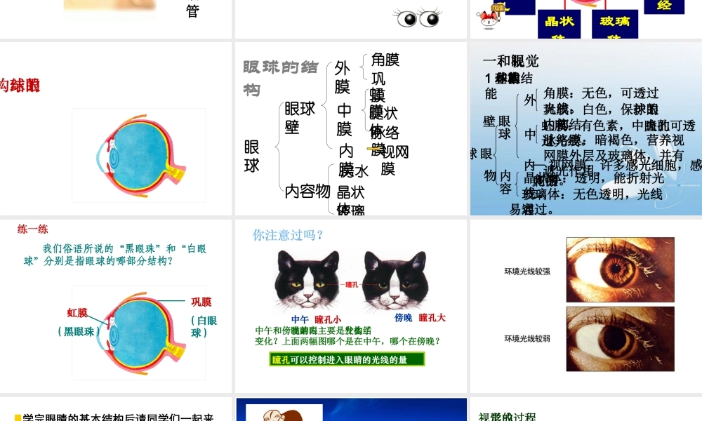 八年级生物上册 第6单元 第16章 第2节 人体对信息的感知课件1 （新版）苏科版-（新版）苏科版初中八年级上册生物课件