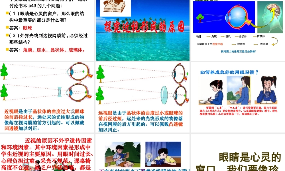 八年级生物上册 第6单元 第16章 第2节 人体对信息的感知课件1 （新版）苏科版-（新版）苏科级上册生物课件