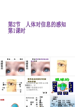 八年级生物上册 第6单元 第16章 第2节 人体对信息的感知课件1 （新版）苏科版-（新版）苏科级上册生物课件