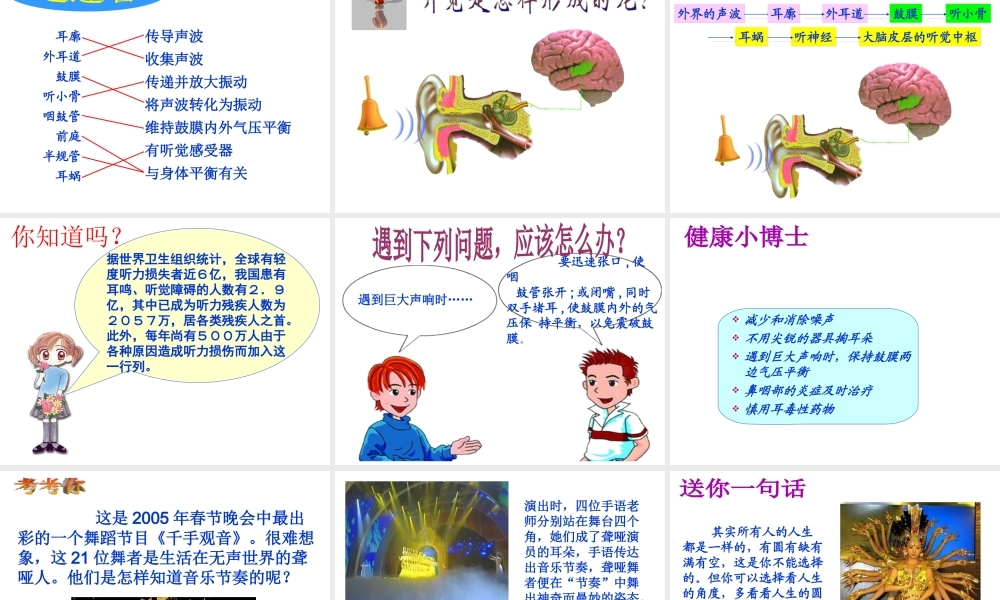 八年级生物上册 第6单元 第16章 第2节 人体对信息的感知课件2 （新版）苏科版-（新版）苏科版初中八年级上册生物课件