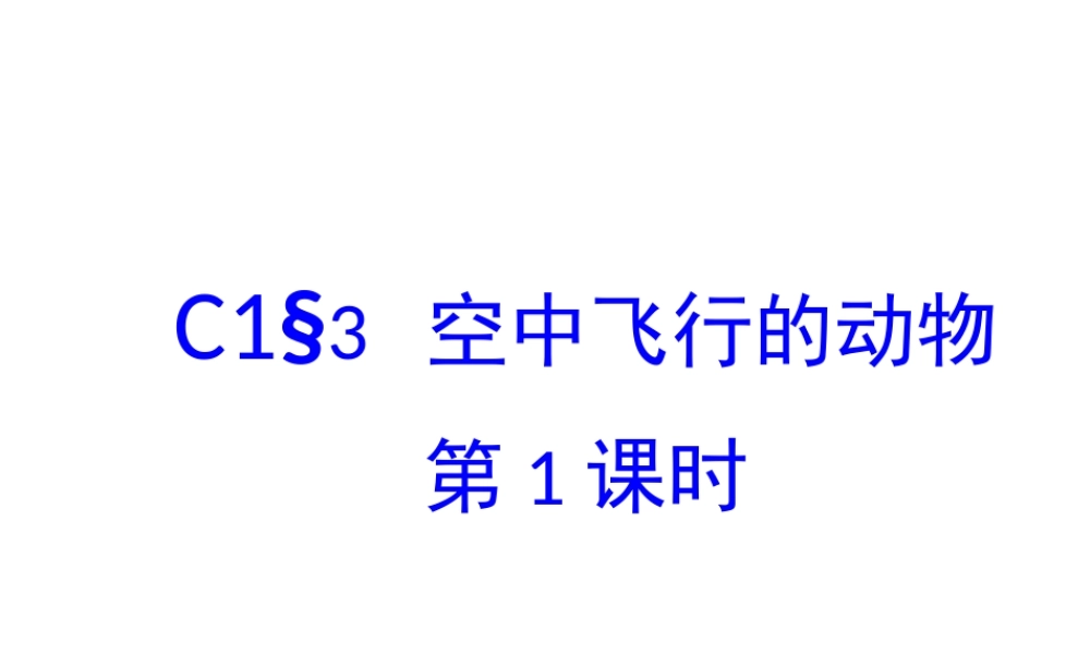 八年级生物上册 第一章 第三节《空中飞行的动物》课件 新人教版
