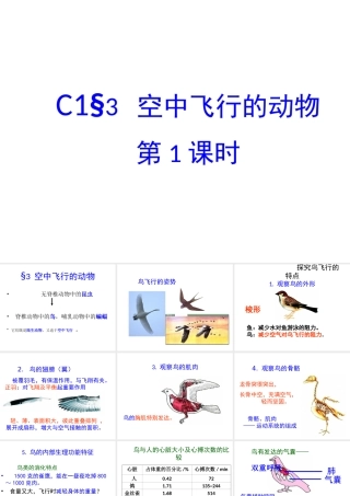 八年级生物上册 第一章 第三节《空中飞行的动物》课件 新人教版