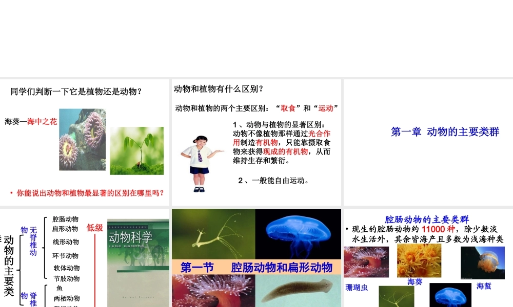 八年级生物上册 第五单元 第一章 第一节 腔肠动物和扁形动物课件 （新版）新人教版-（新版）新人教级上册生物课件