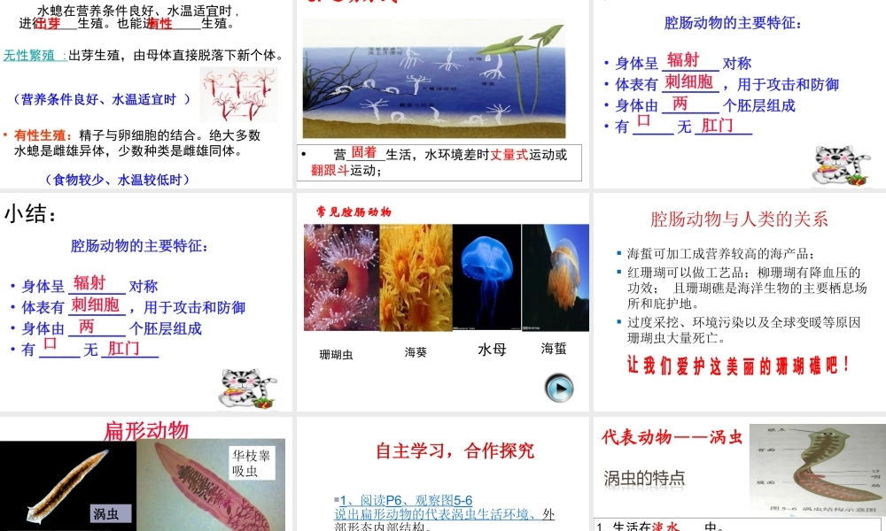 八年级生物上册 第五单元 第一章 第一节 腔肠动物和扁形动物课件 （新版）新人教版-（新版）新人教级上册生物课件