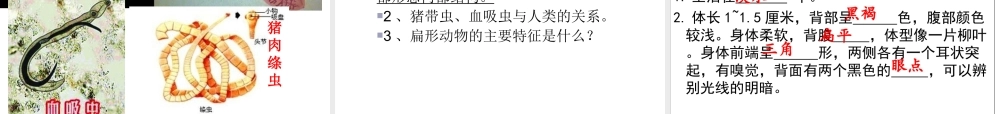 八年级生物上册 第五单元 第一章 第一节 腔肠动物和扁形动物课件 （新版）新人教版-（新版）新人教级上册生物课件