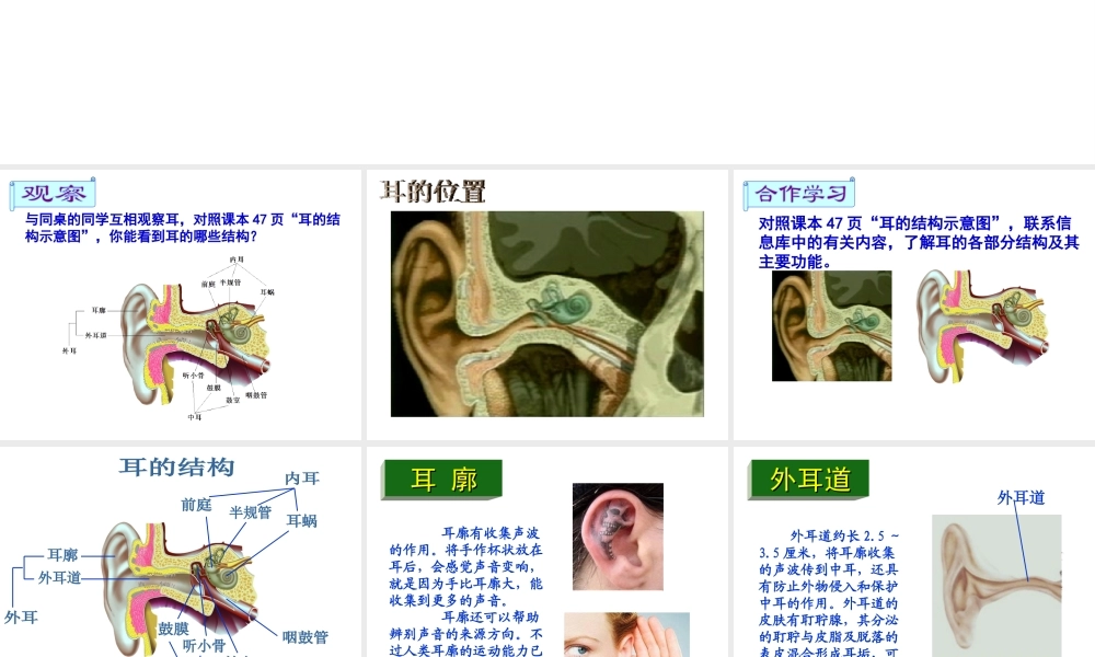 八年级生物上册 第6单元 第16章 第2节 人体对信息的感知课件2 （新版）苏科版-（新版）苏科级上册生物课件