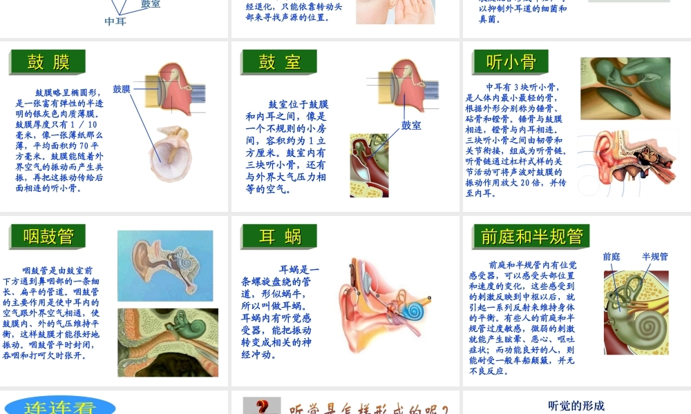 八年级生物上册 第6单元 第16章 第2节 人体对信息的感知课件2 （新版）苏科版-（新版）苏科级上册生物课件
