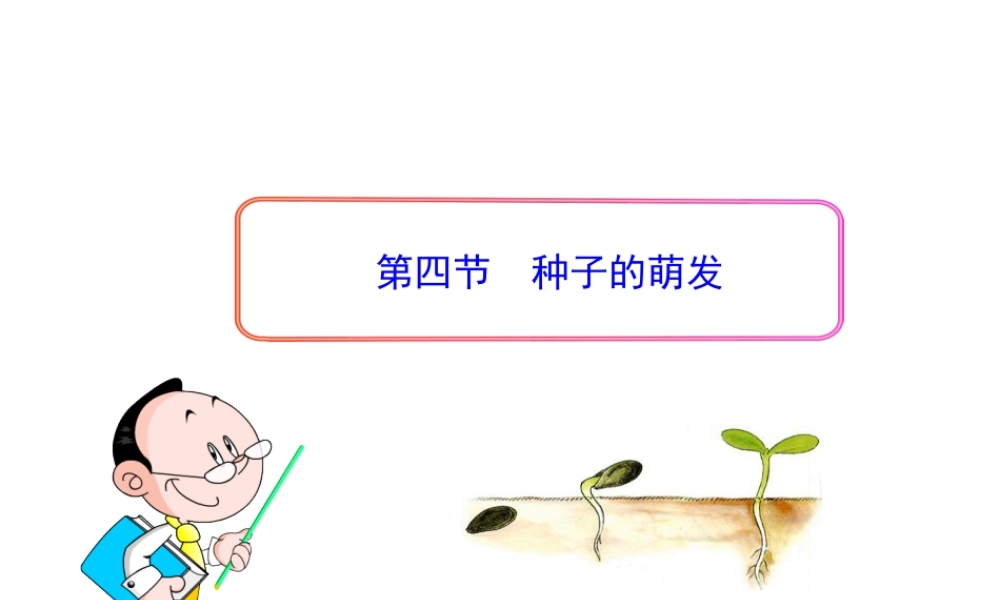 八年级生物上册 第一章 第四节 种子的萌发课件 济南版