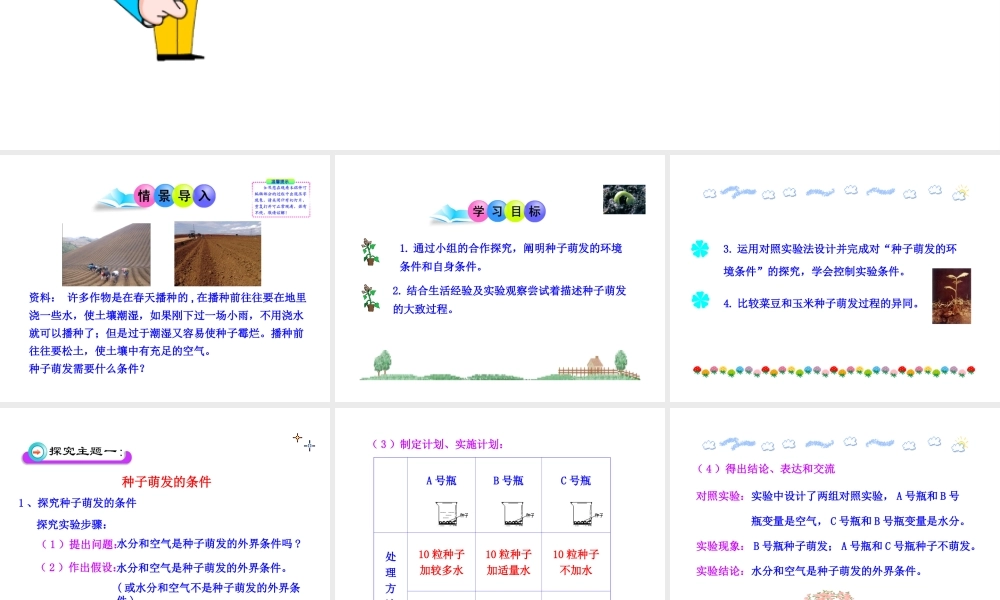 八年级生物上册 第一章 第四节 种子的萌发课件 济南版