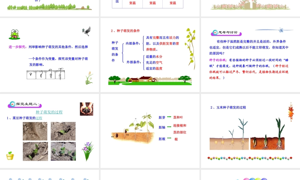 八年级生物上册 第一章 第四节 种子的萌发课件 济南版