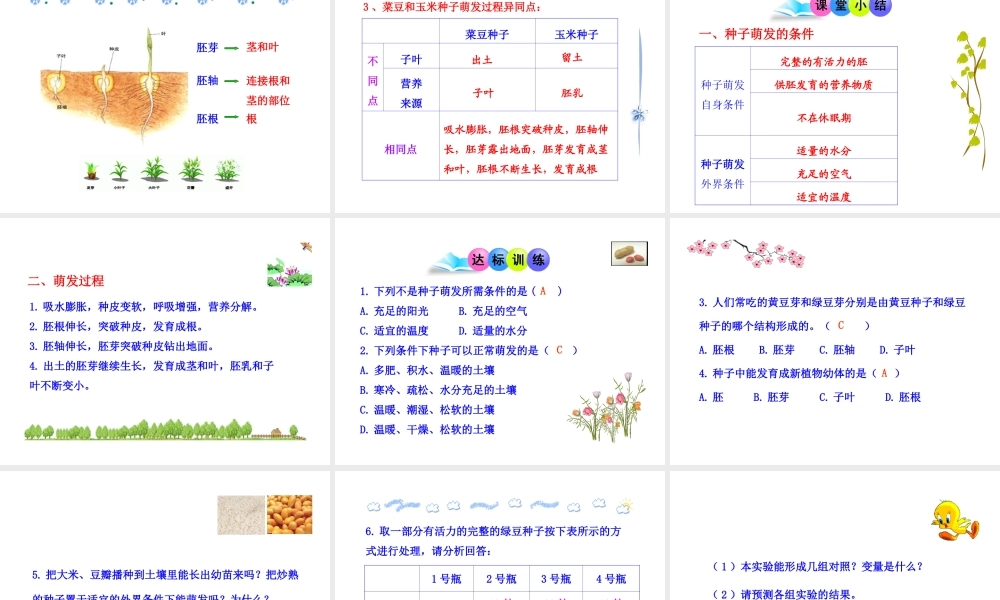 八年级生物上册 第一章 第四节 种子的萌发课件 济南版