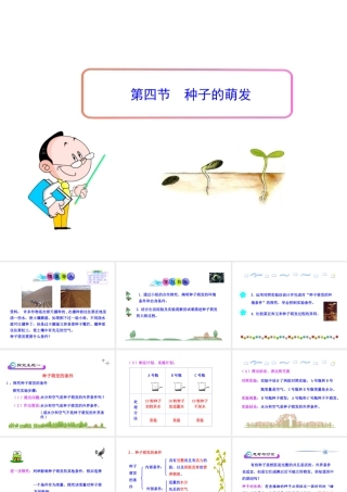 八年级生物上册 第一章 第四节 种子的萌发课件 济南版