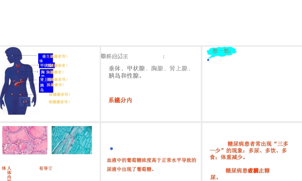 八年级生物上册 第6单元 第16章 第3节 人体的激素调节课件1 （新版）苏科版-（新版）苏科版初中八年级上册生物课件