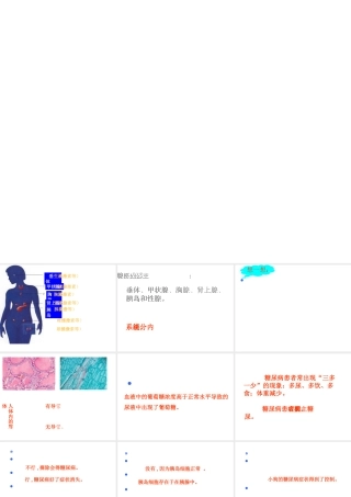 八年级生物上册 第6单元 第16章 第3节 人体的激素调节课件1 （新版）苏科版-（新版）苏科版初中八年级上册生物课件