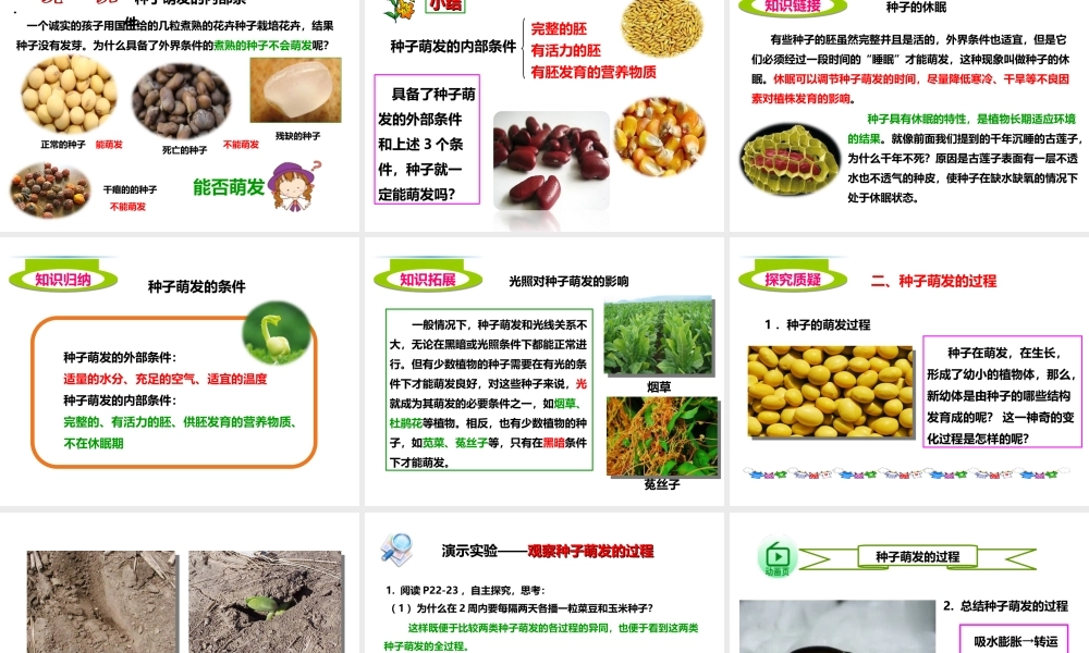 八年级生物上册 第一章 第四节《种子的萌发》课件 （新版）济南版