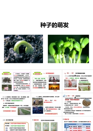 八年级生物上册 第一章 第四节《种子的萌发》课件 （新版）济南版