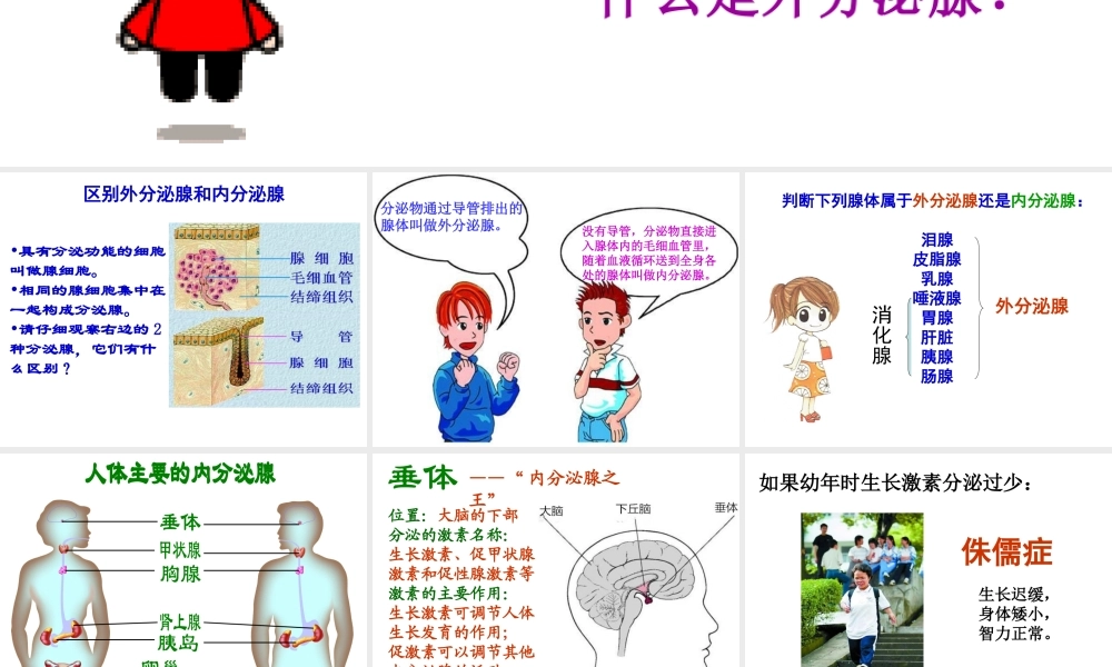 八年级生物上册 第6单元 第16章 第3节 人体的激素调节课件2 （新版）苏科版-（新版）苏科版初中八年级上册生物课件