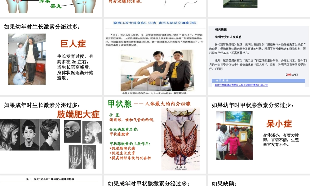 八年级生物上册 第6单元 第16章 第3节 人体的激素调节课件2 （新版）苏科版-（新版）苏科版初中八年级上册生物课件