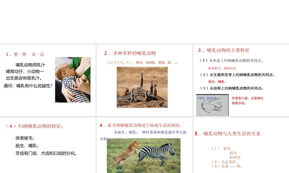 八年级生物上册 第五单元 第一章 动物的主要类群 第七节 哺乳动物课件1 （新版）新人教版