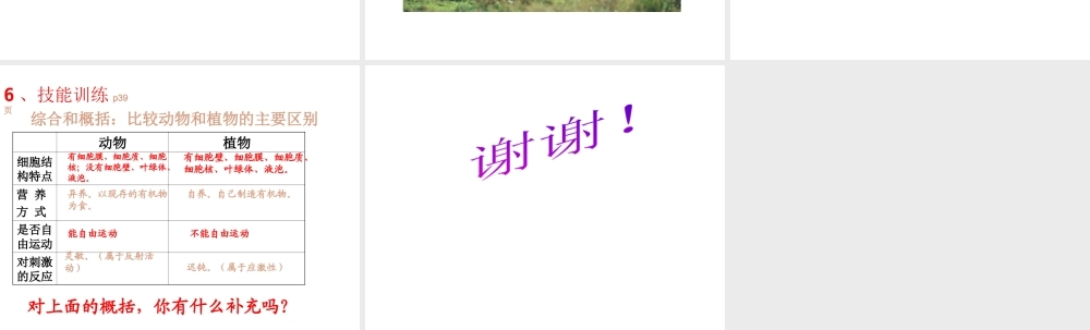 八年级生物上册 第五单元 第一章 动物的主要类群 第七节 哺乳动物课件1 （新版）新人教版