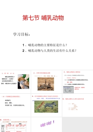 八年级生物上册 第五单元 第一章 动物的主要类群 第七节 哺乳动物课件1 （新版）新人教版