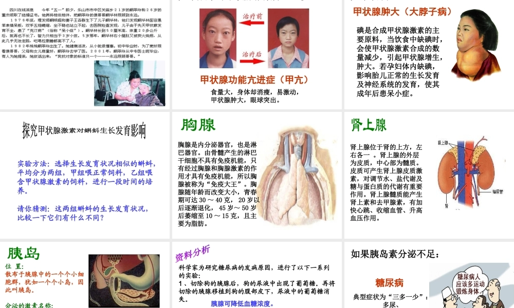 八年级生物上册 第6单元 第16章 第3节 人体的激素调节课件2 （新版）苏科版-（新版）苏科级上册生物课件