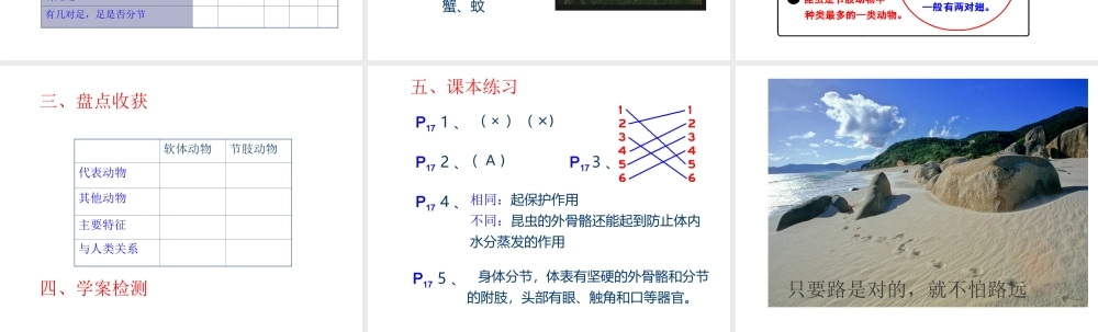 八年级生物上册 第五单元 第一章 动物的主要类群 第三节 软体动物和节肢动物课件 （新版）新人教版