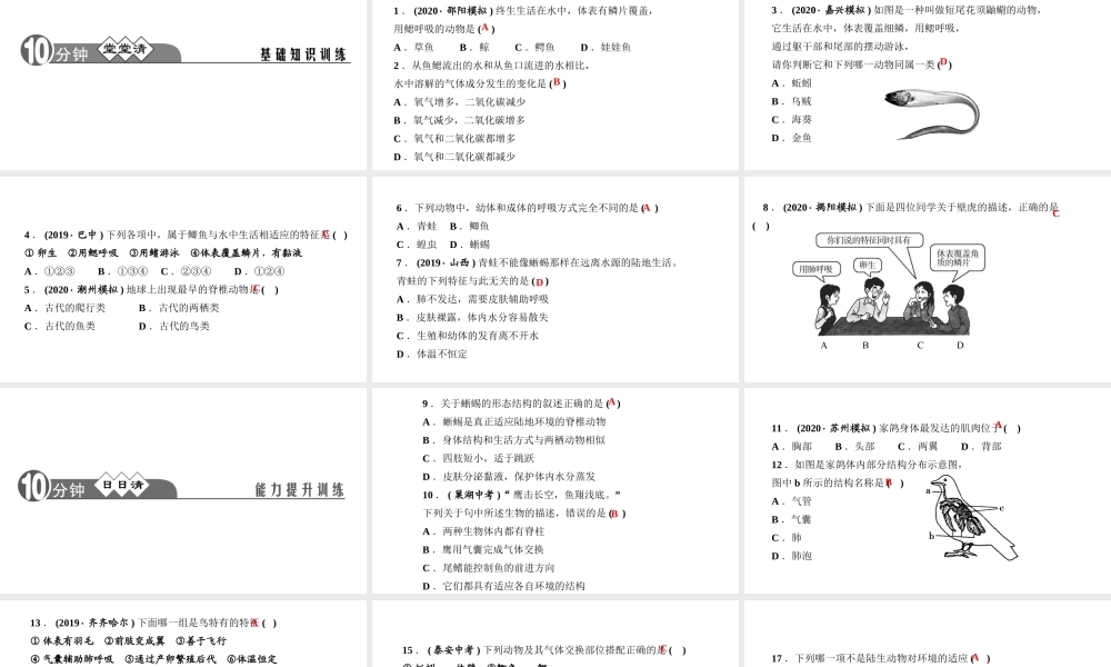 八年级生物上册 第五单元 生物圈中的其他生物 第一章 动物的主要类群 周周清2课件 （新版）新人教版-（新版）新人教版初中八年级上册生物课件