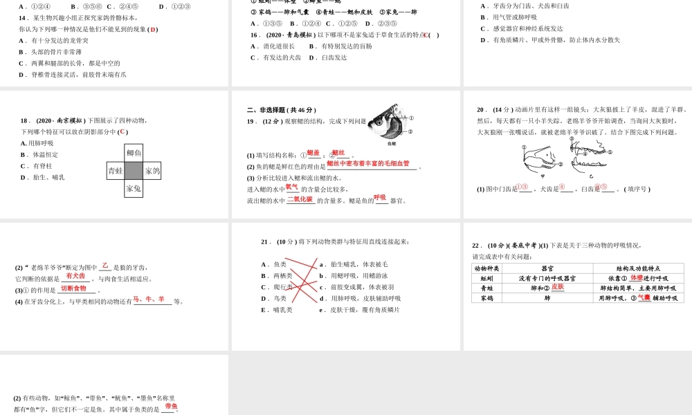 八年级生物上册 第五单元 生物圈中的其他生物 第一章 动物的主要类群 周周清2课件 （新版）新人教版-（新版）新人教版初中八年级上册生物课件