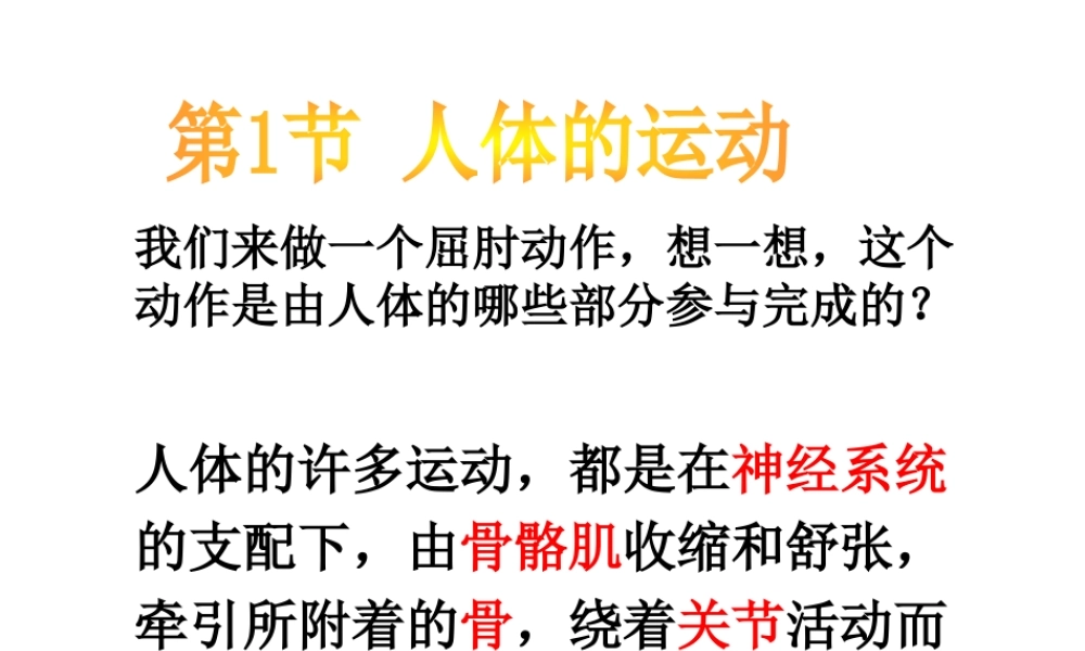 八年级生物上册 第6单元 第17章 第1节 人体的运动课件2 （新版）苏科版-（新版）苏科级上册生物课件