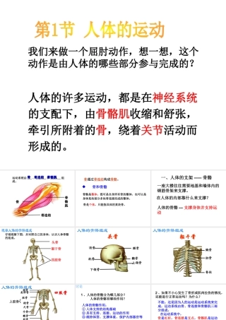 八年级生物上册 第6单元 第17章 第1节 人体的运动课件2 （新版）苏科版-（新版）苏科级上册生物课件