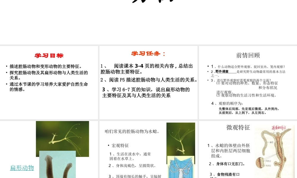 八年级生物上册 第五单元 第一章 第一节 腔肠动物和扁形动物课件1 （新版）新人教版