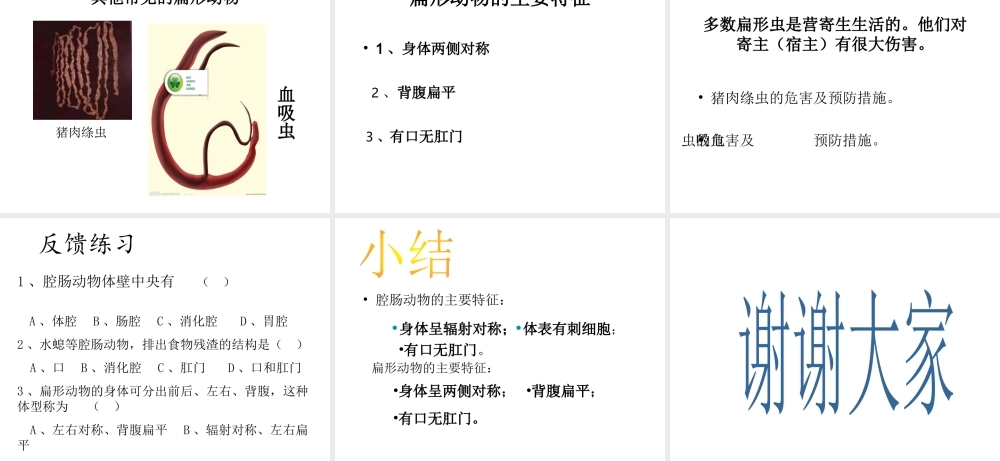 八年级生物上册 第五单元 第一章 第一节 腔肠动物和扁形动物课件1 （新版）新人教版