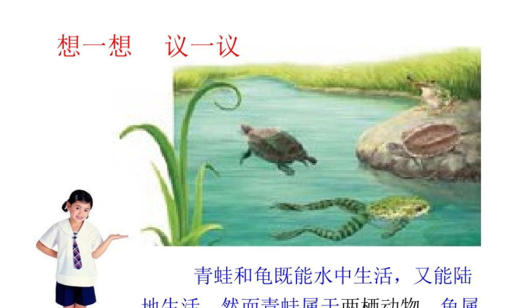 八年级生物上册 第五单元 第一章 动物的主要类群 第五节 两栖动物和爬行动物课件2 （新版）新人教版